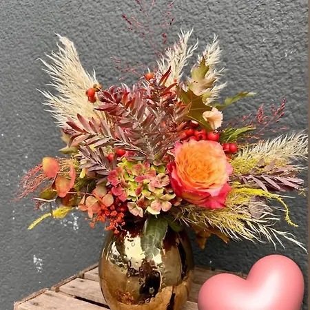 La Parenthese Du Mont 迪塞-莱谢里